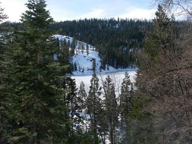 bowman013