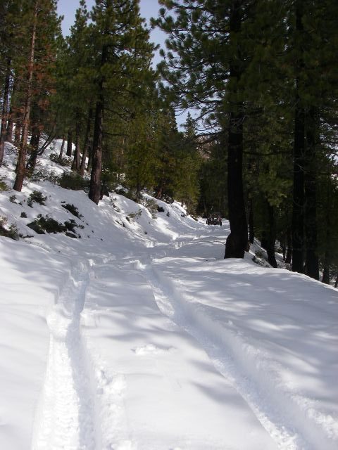 bowman011
