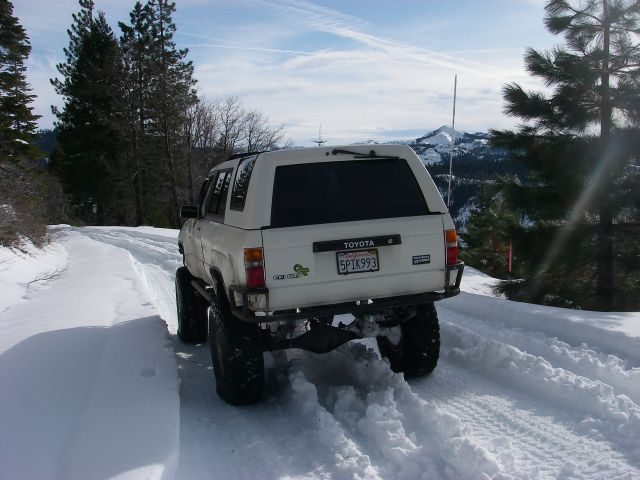 bowman005