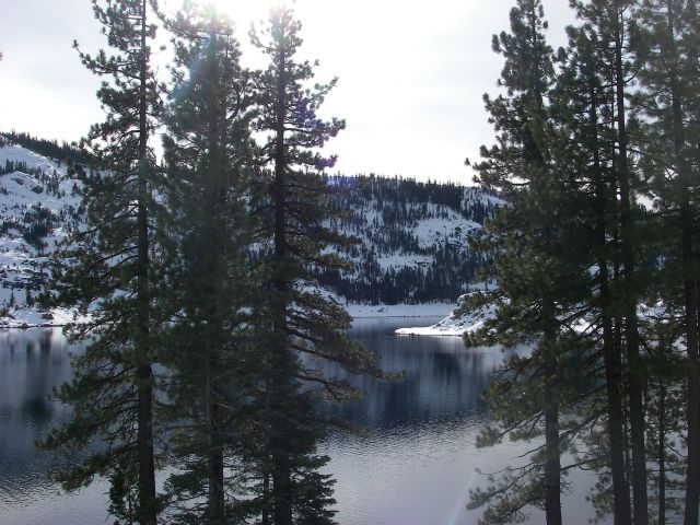 bowman006