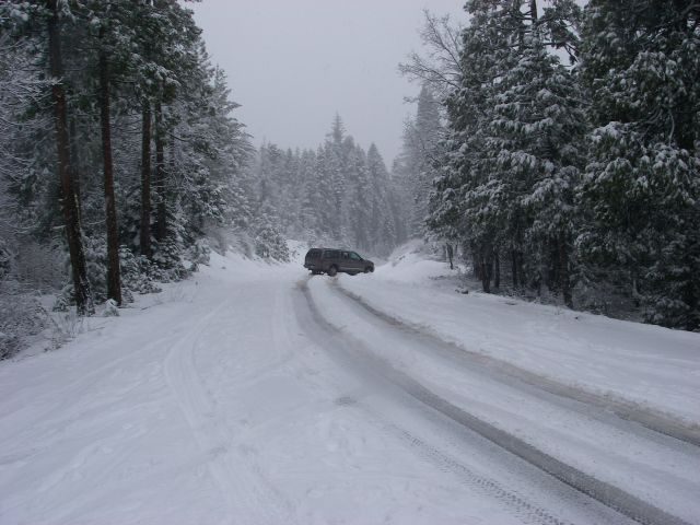 snowpatrol019