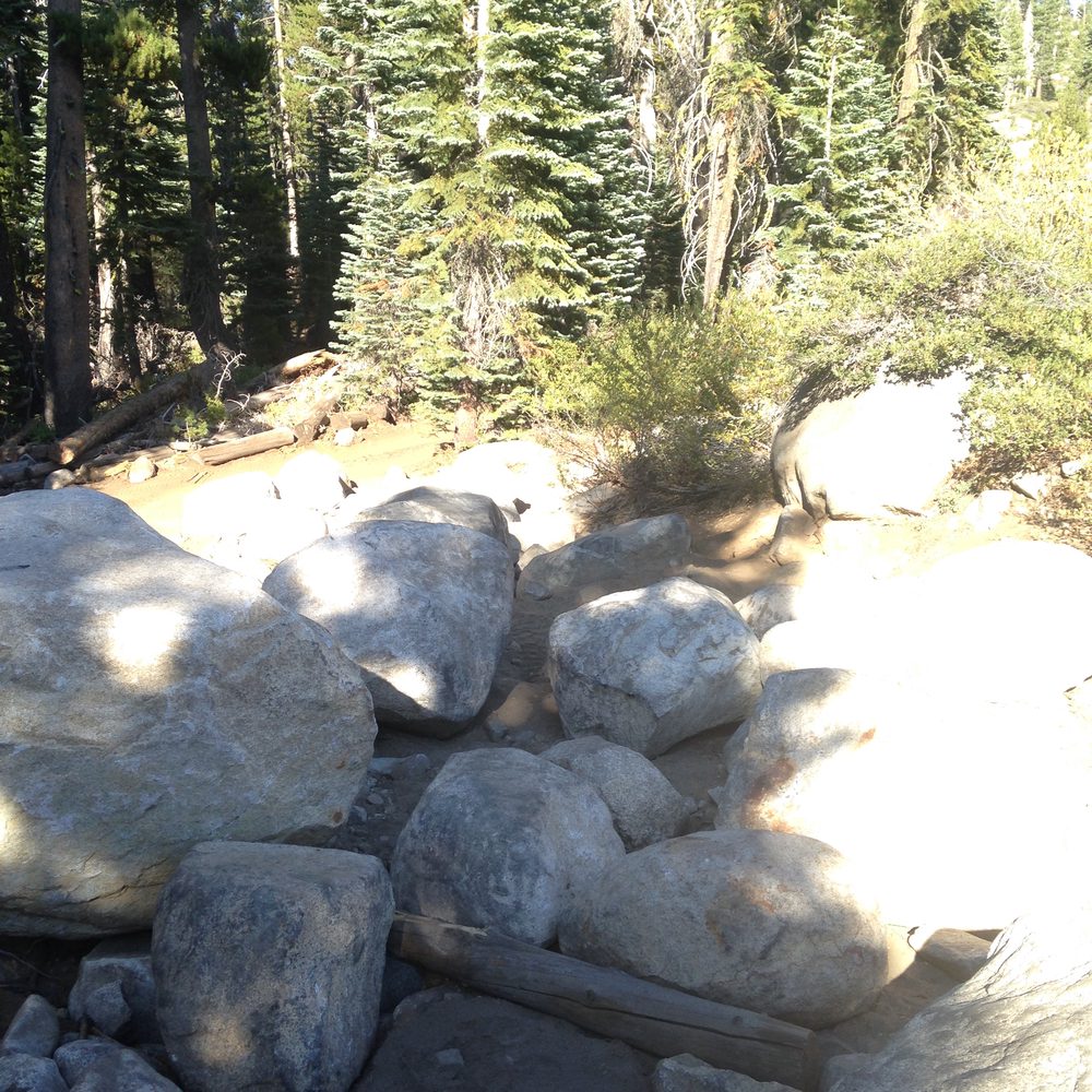 Barrett-Lake-2015-345