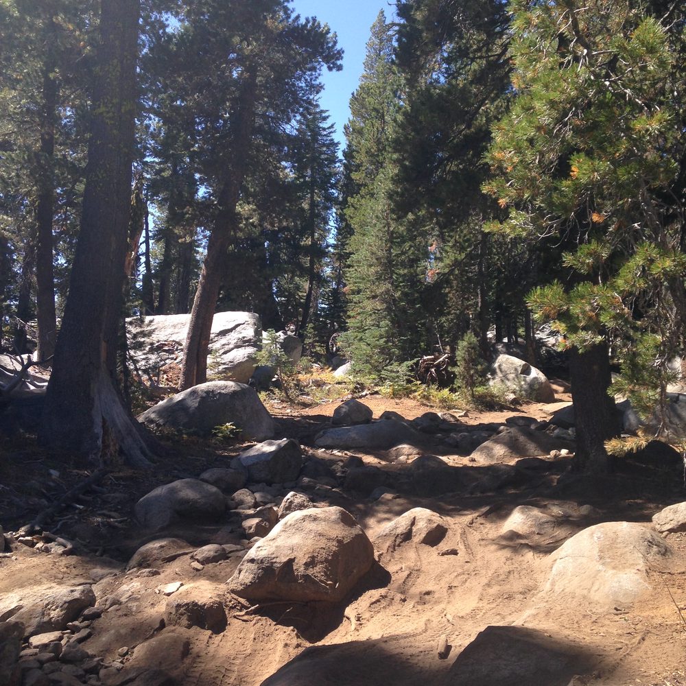 Barrett-Lake-2015-178-Copy