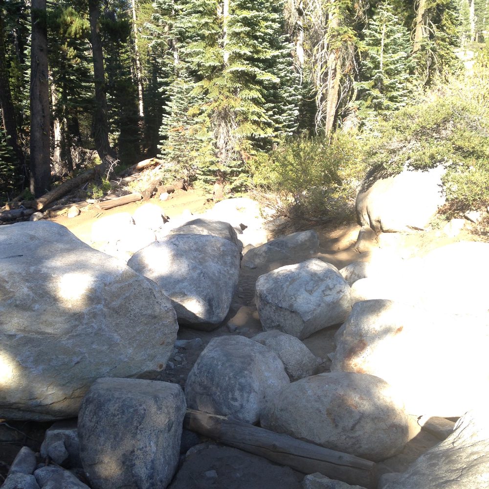 Barrett-Lake-2015-344