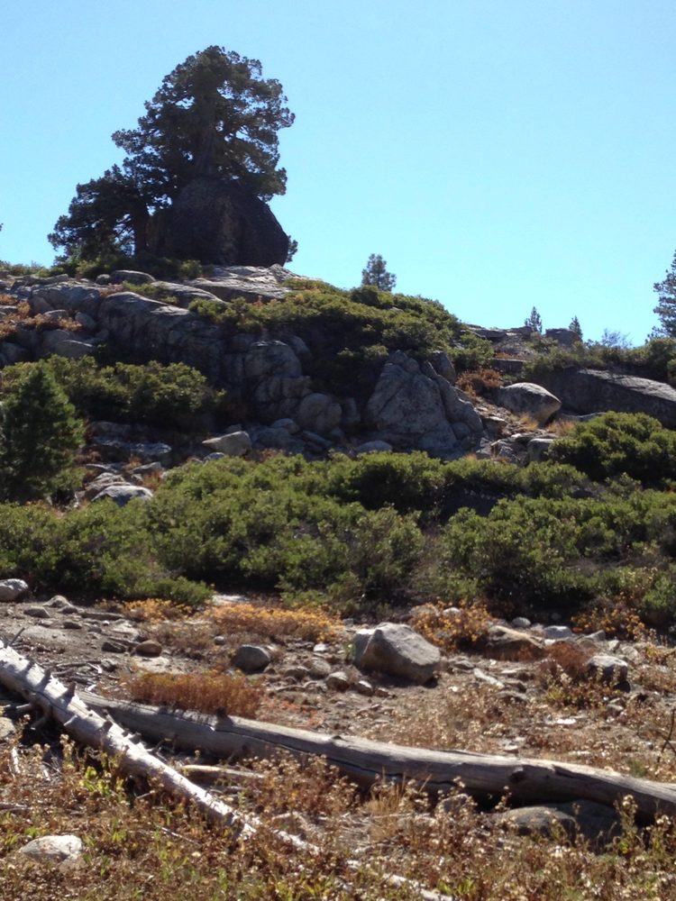 Photo from Barrett Lake Trail