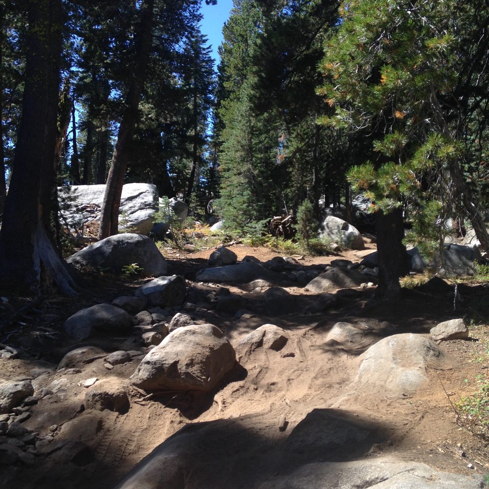 Barrett-Lake-2015-177-Copy
