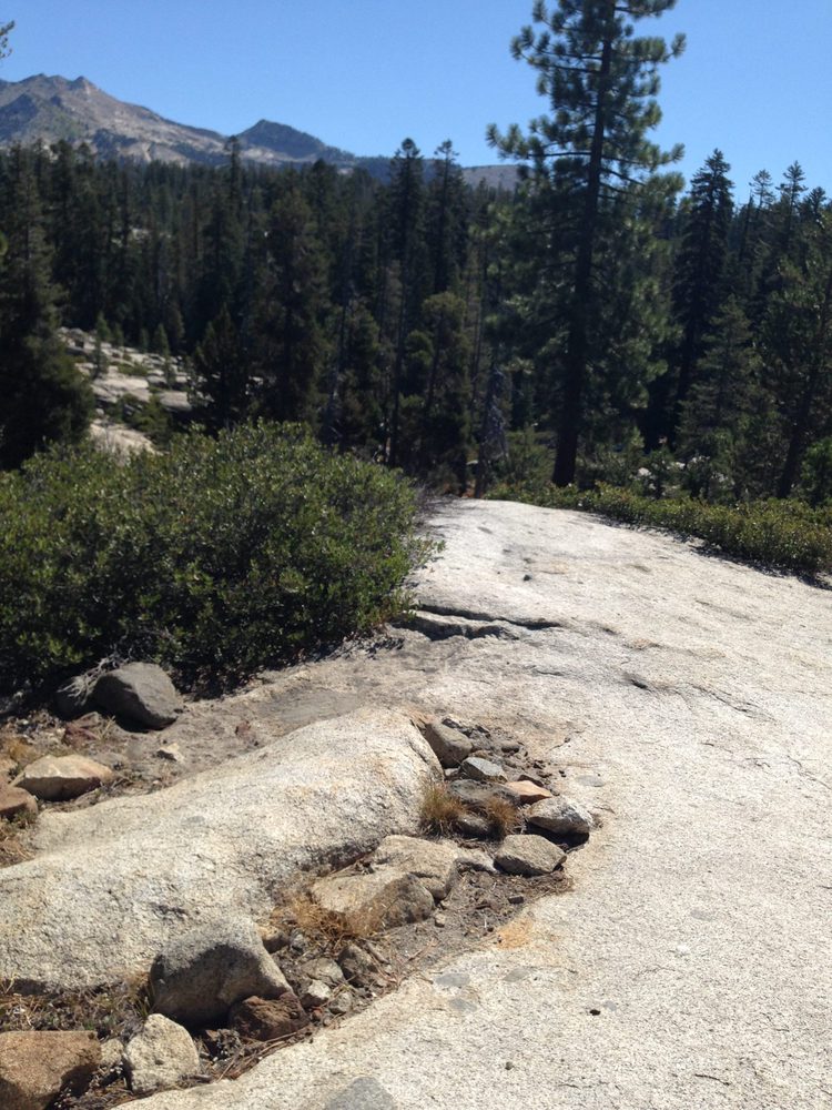 Photo from Barrett Lake Trail