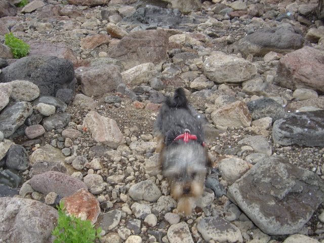 Sierra Exif JPEG