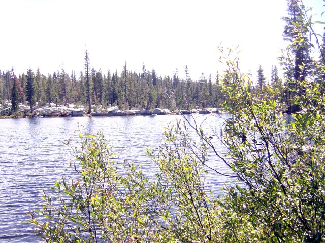 Sierra Exif JPEG