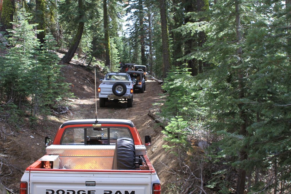 Photo from Strawberry Maintenance