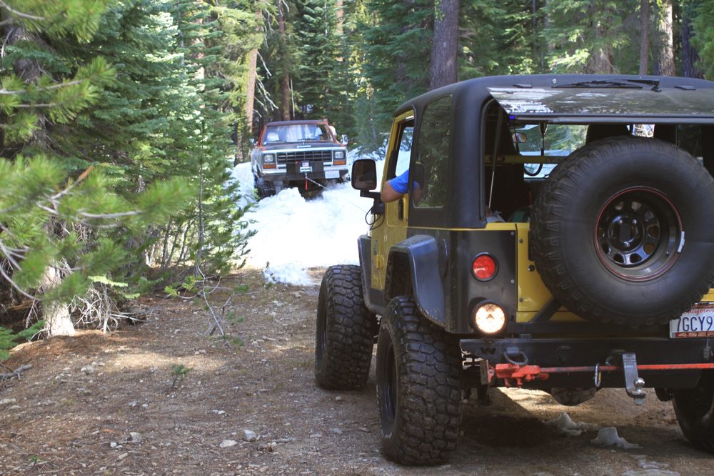 Photo from Strawberry Maintenance