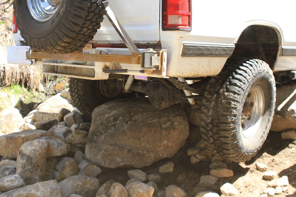 Photo from Strawberry Maintenance