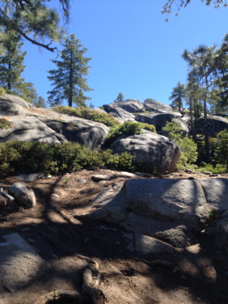 Photo from Rubicon Trail