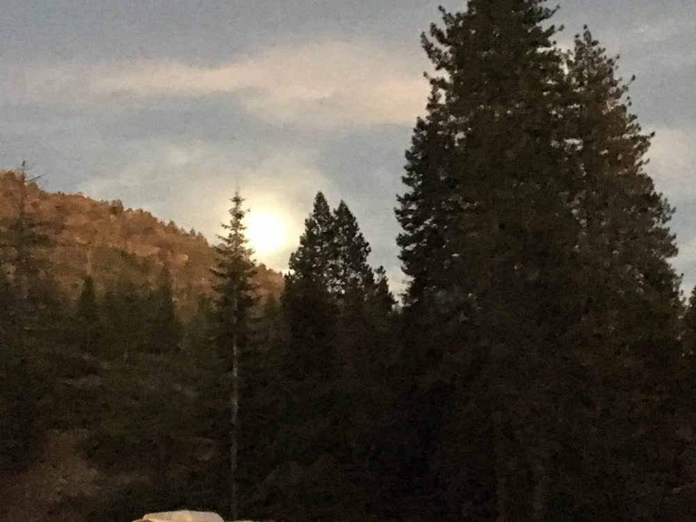 Photo from Fordyce Trail