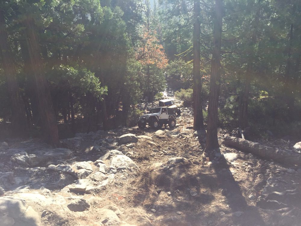 Photo from Fordyce Trail