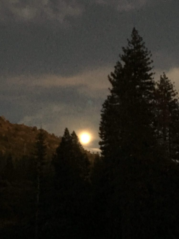 Photo from Fordyce Trail