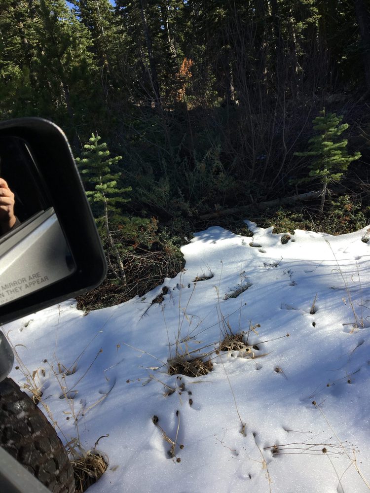 Photo from Fordyce Trail