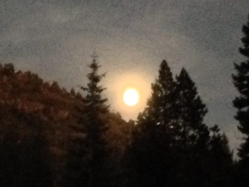 Photo from Fordyce Trail