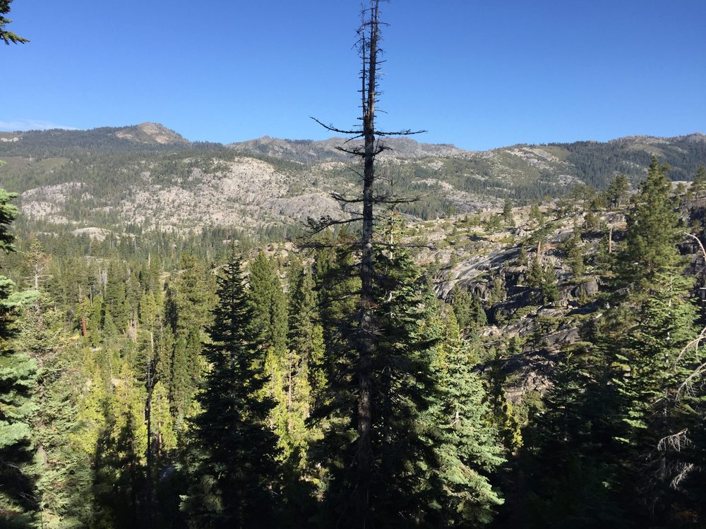Photo from Fordyce Trail