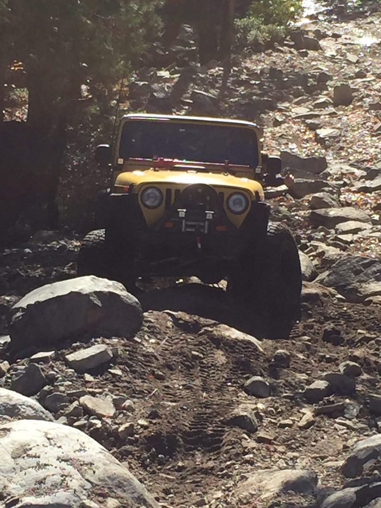 Photo from Fordyce Trail