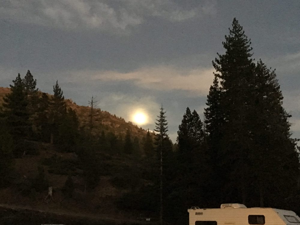 Photo from Fordyce Trail