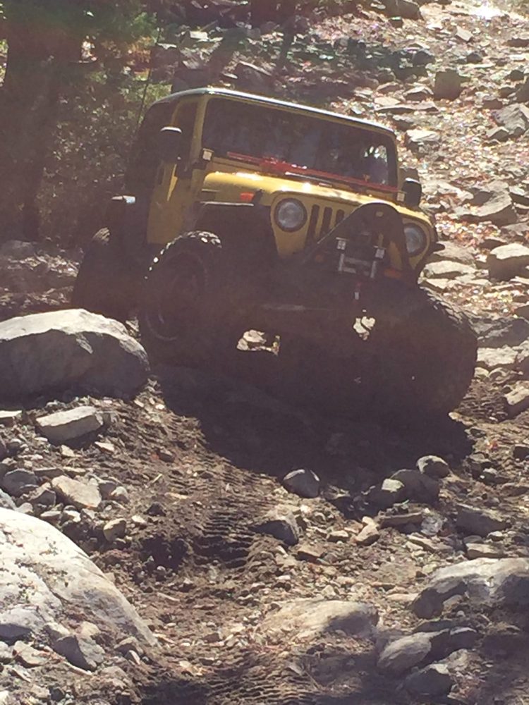 Photo from Fordyce Trail