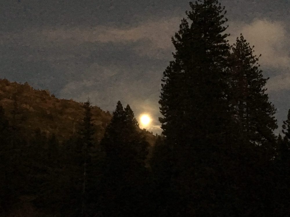Photo from Fordyce Trail