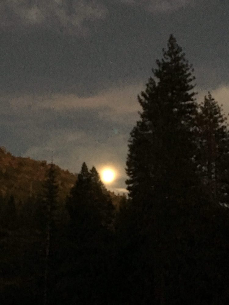 Photo from Fordyce Trail