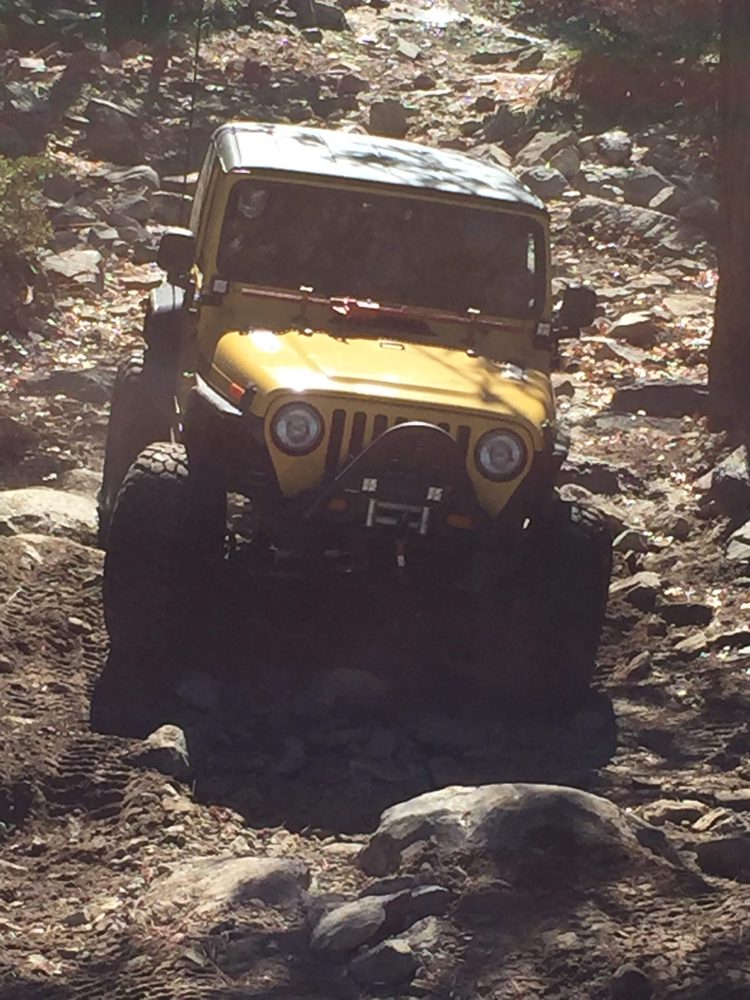 Photo from Fordyce Trail