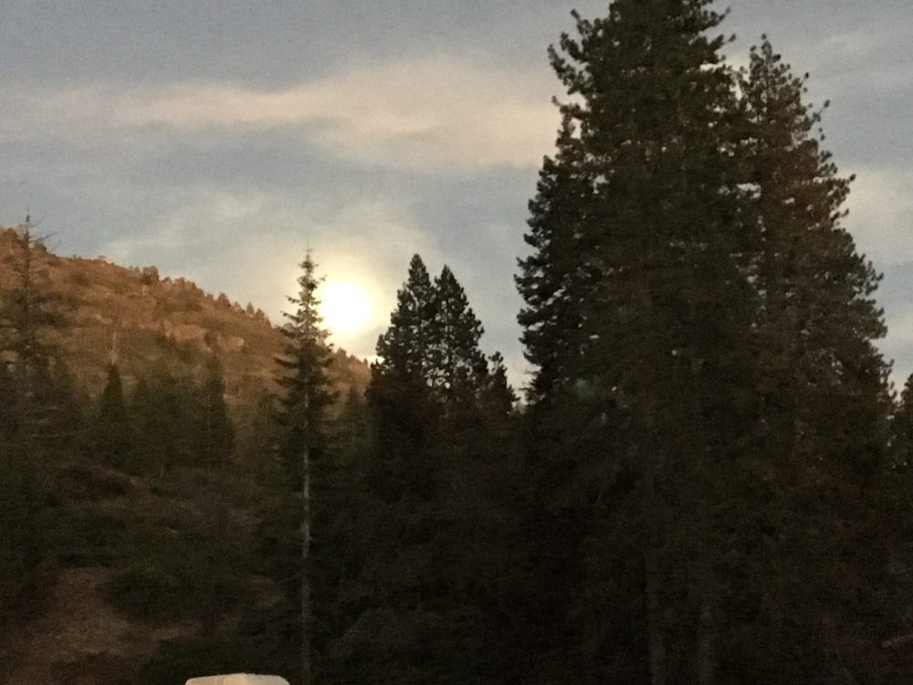 Photo from Fordyce Trail