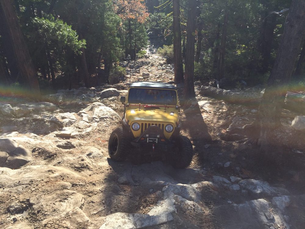 Photo from Fordyce Trail