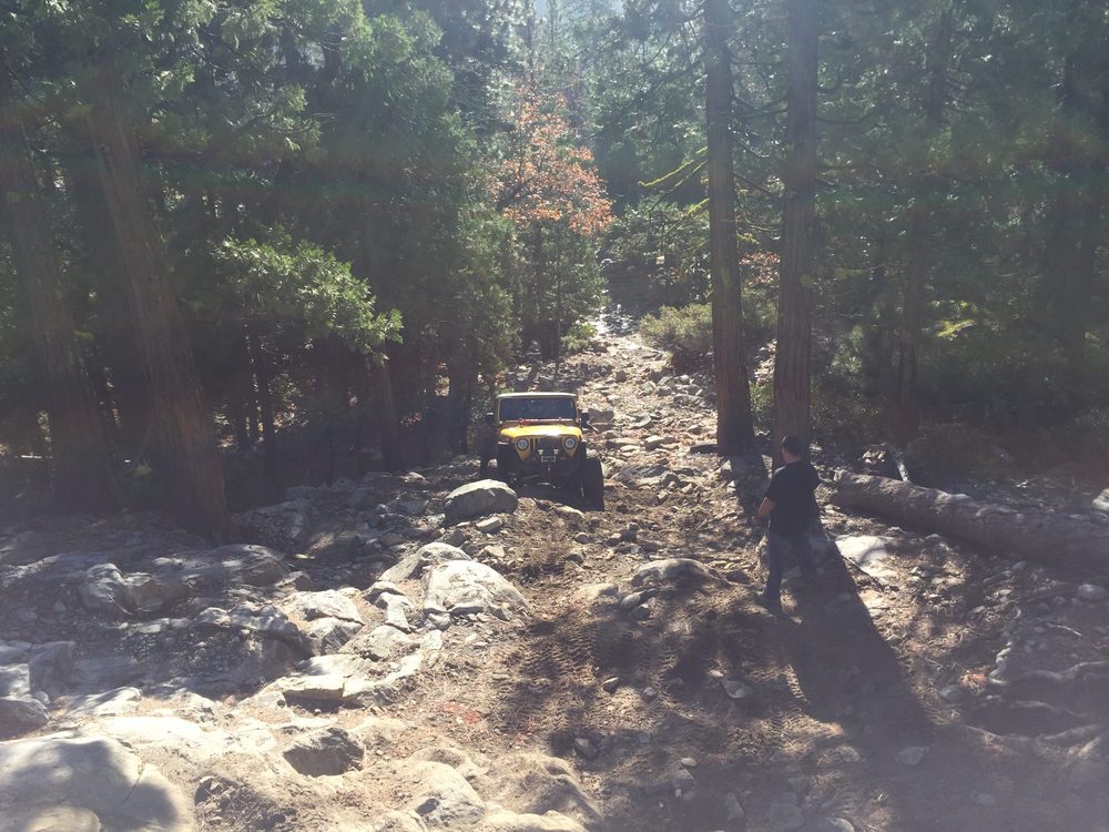 Photo from Fordyce Trail