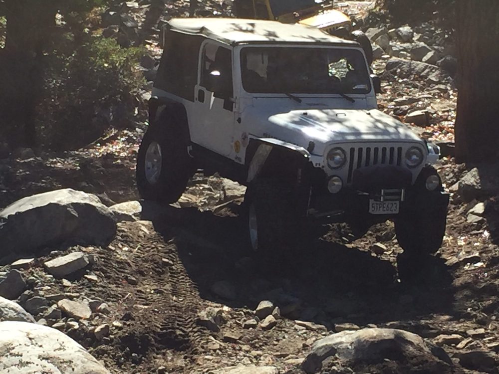 Photo from Fordyce Trail