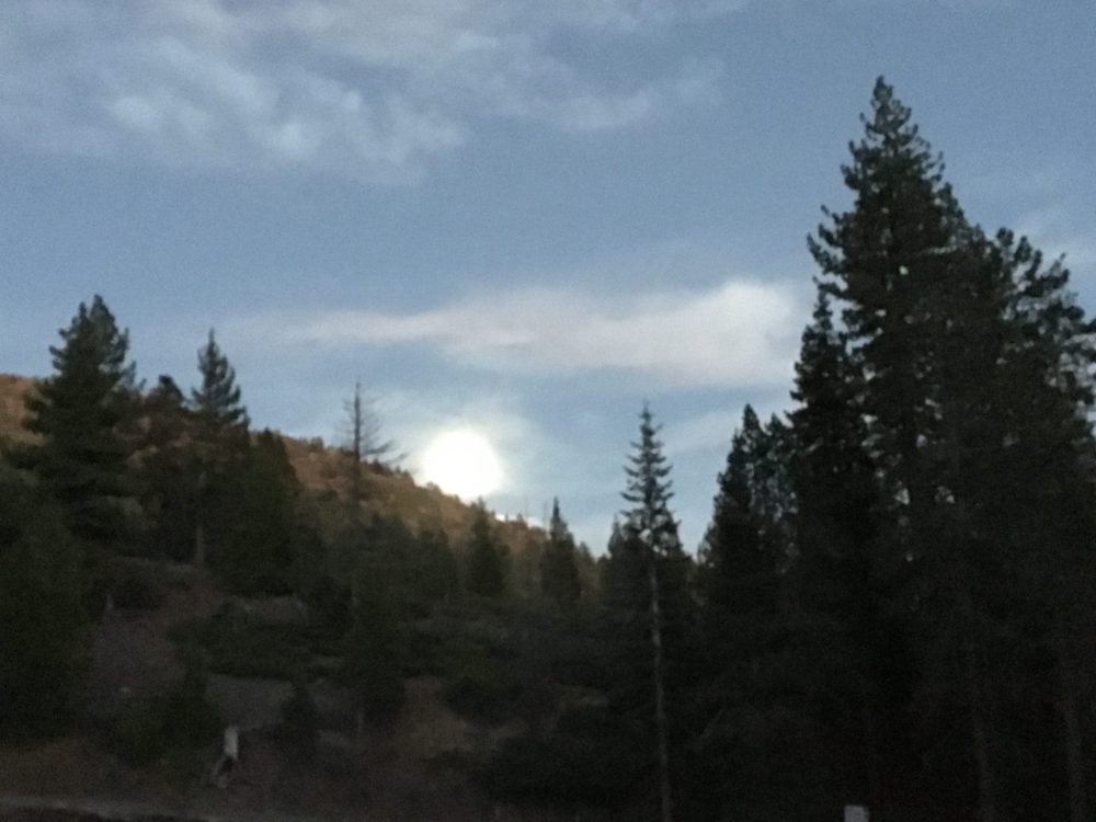 Photo from Fordyce Trail
