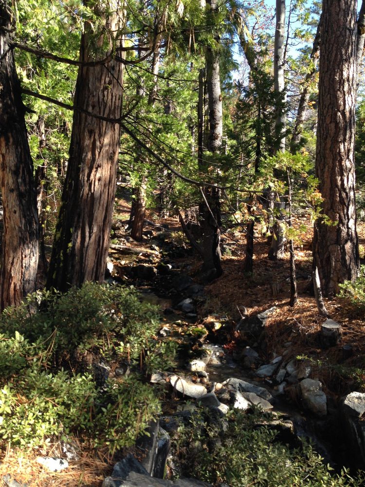 Photo from Fordyce Trail