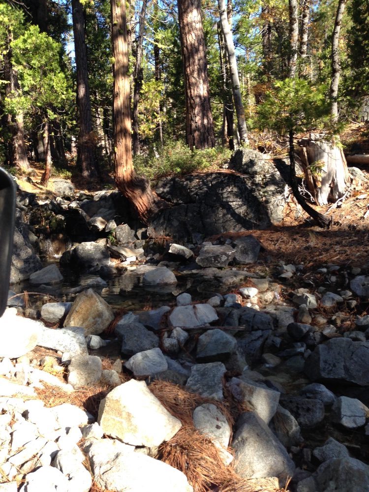 Photo from Fordyce Trail
