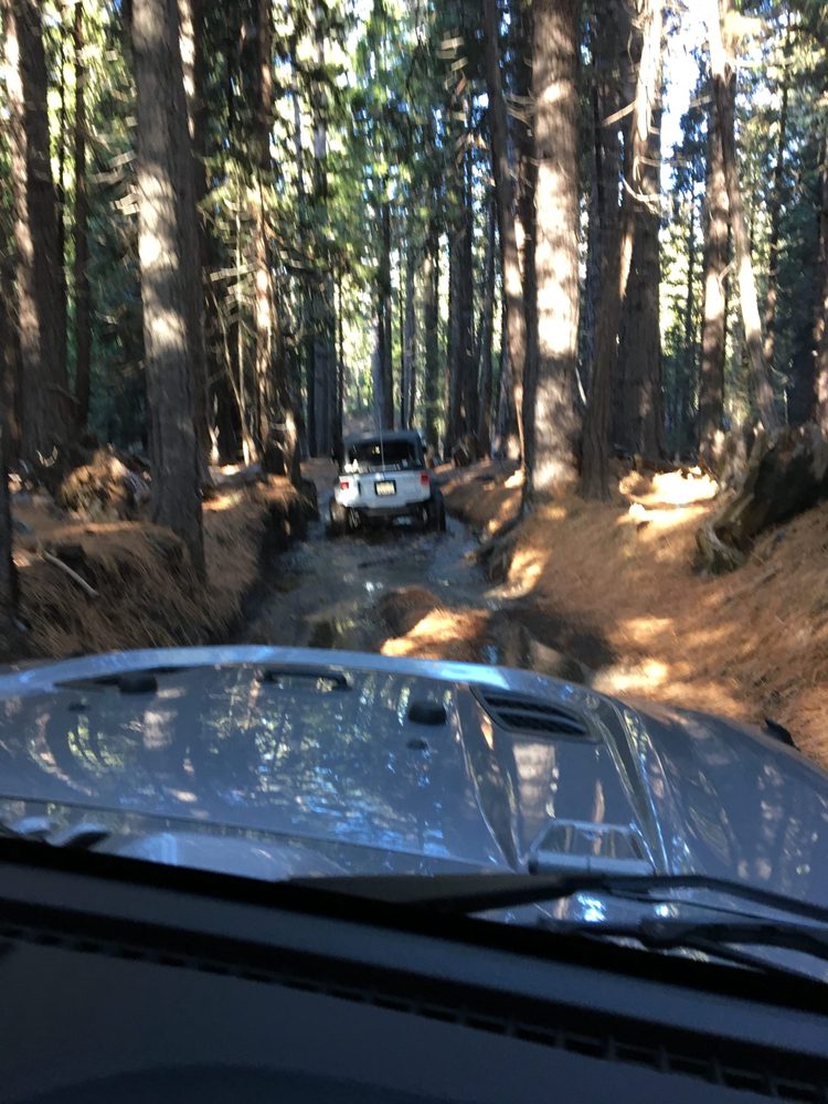 Photo from Fordyce Trail