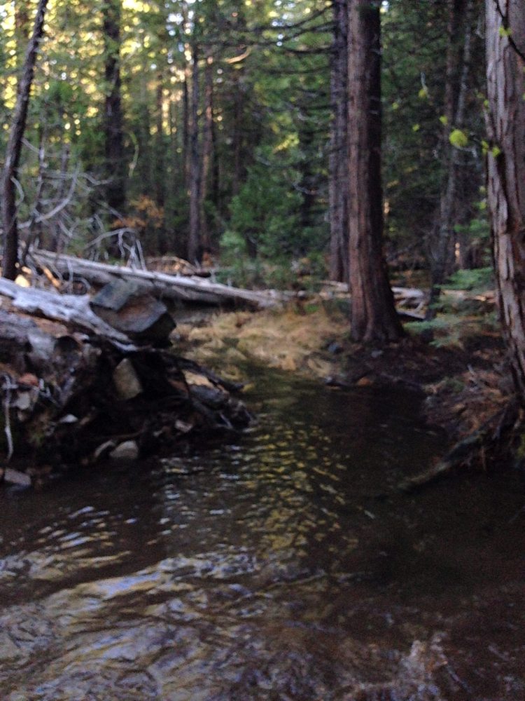 Photo from Fordyce Trail