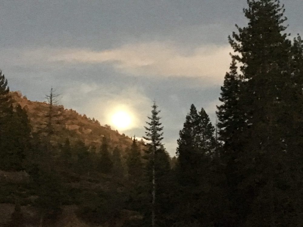 Photo from Fordyce Trail