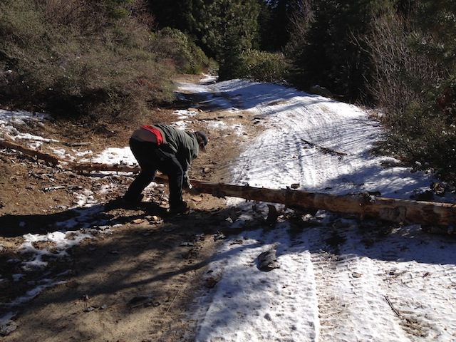 Photo from Strawberry Trail Patrol