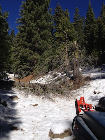 Photo from Strawberry Trail Patrol