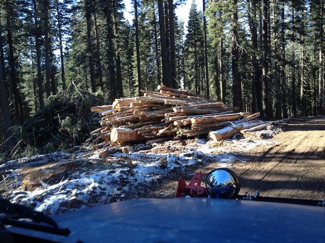 Photo from Strawberry Trail Patrol