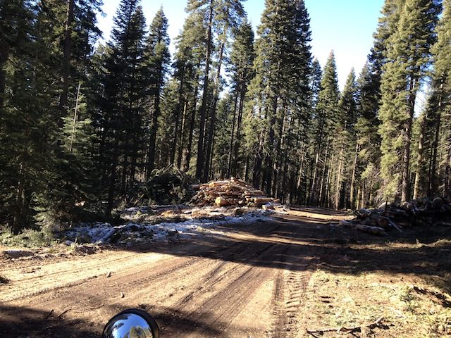 Photo from Strawberry Trail Patrol