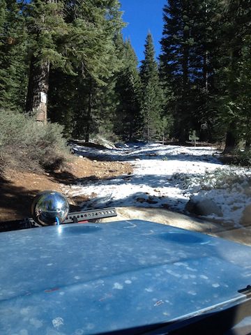 Photo from Strawberry Trail Patrol
