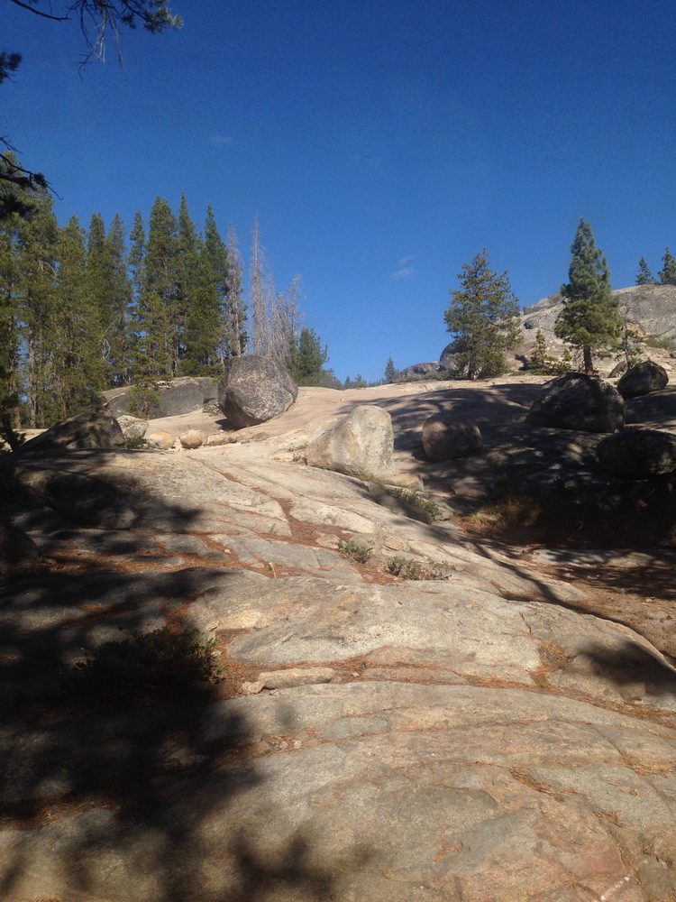 Photo from Slick Rock Trail