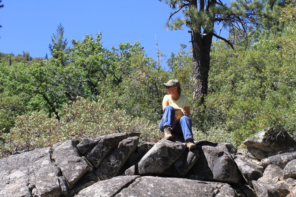 Photo from Hell Hole Trail