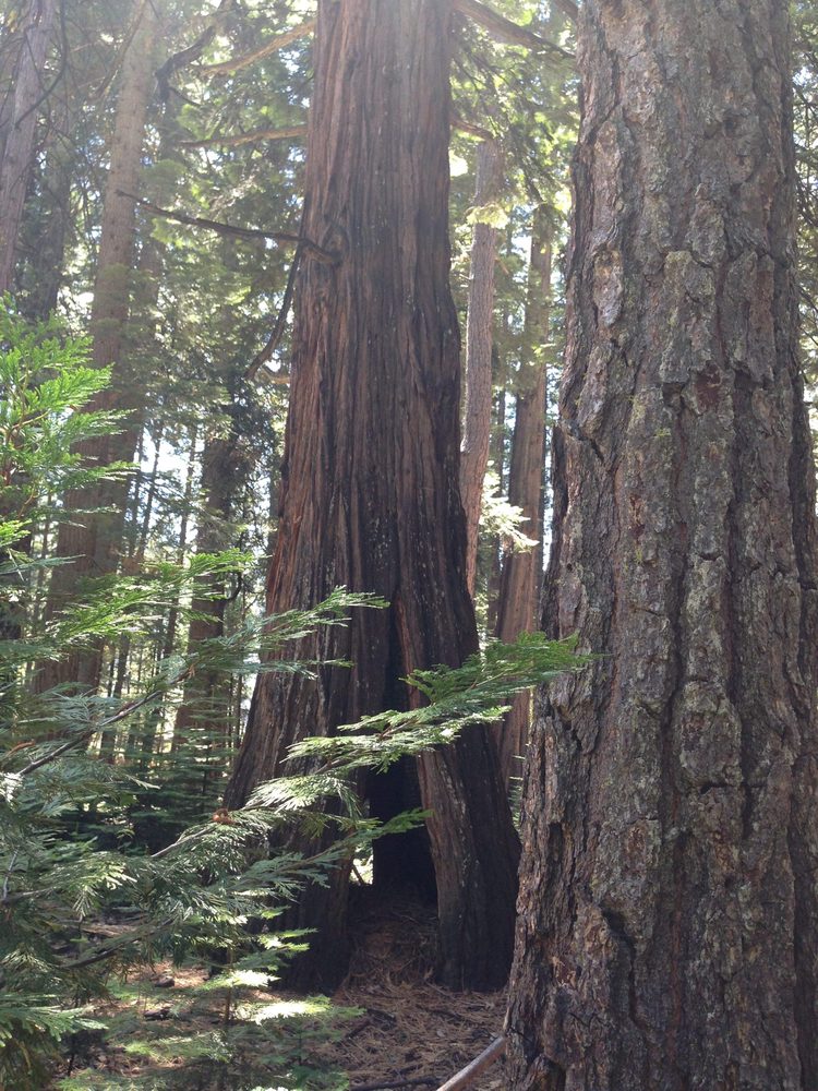Photo from Hell Hole Trail