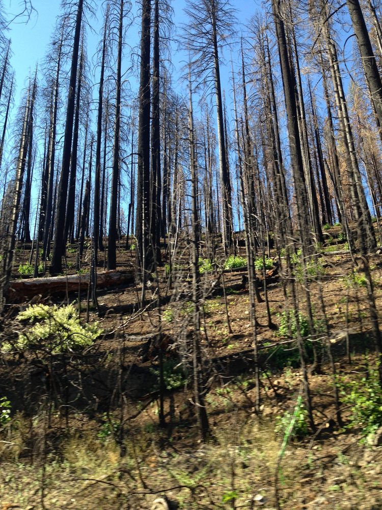Photo from Hell Hole Trail