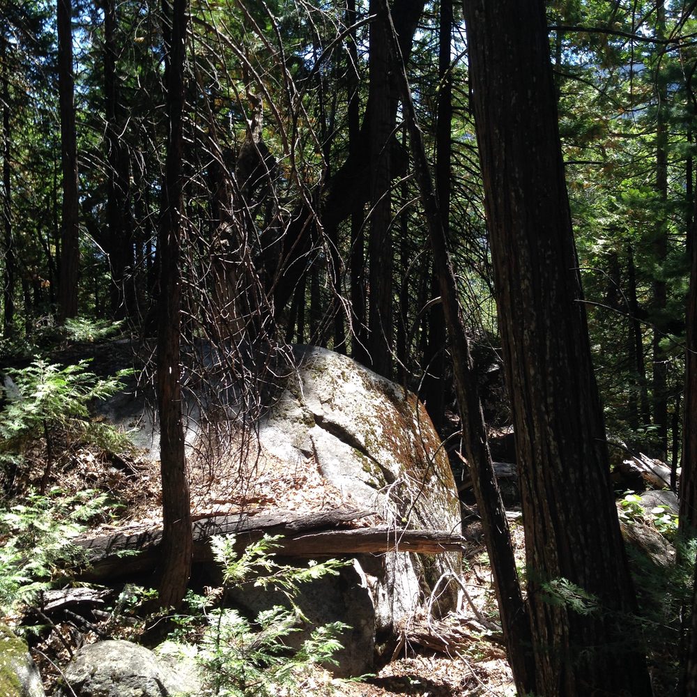 Photo from Hell Hole Trail