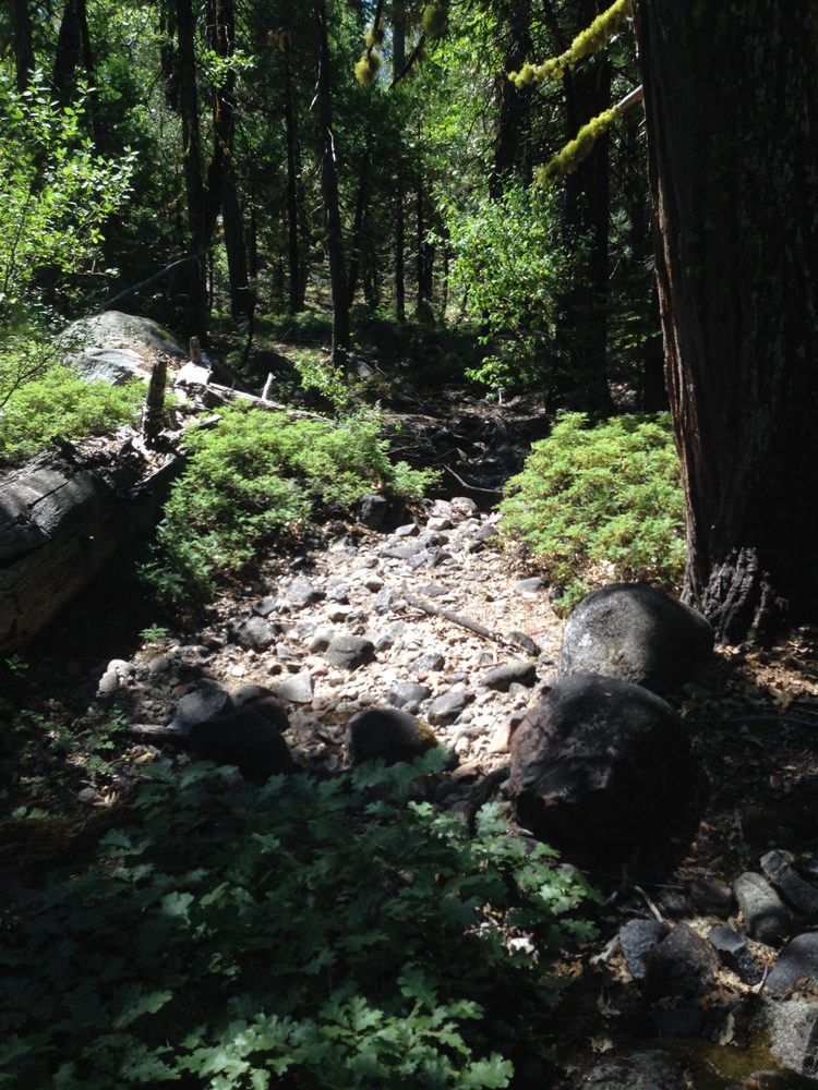 Photo from Hell Hole Trail